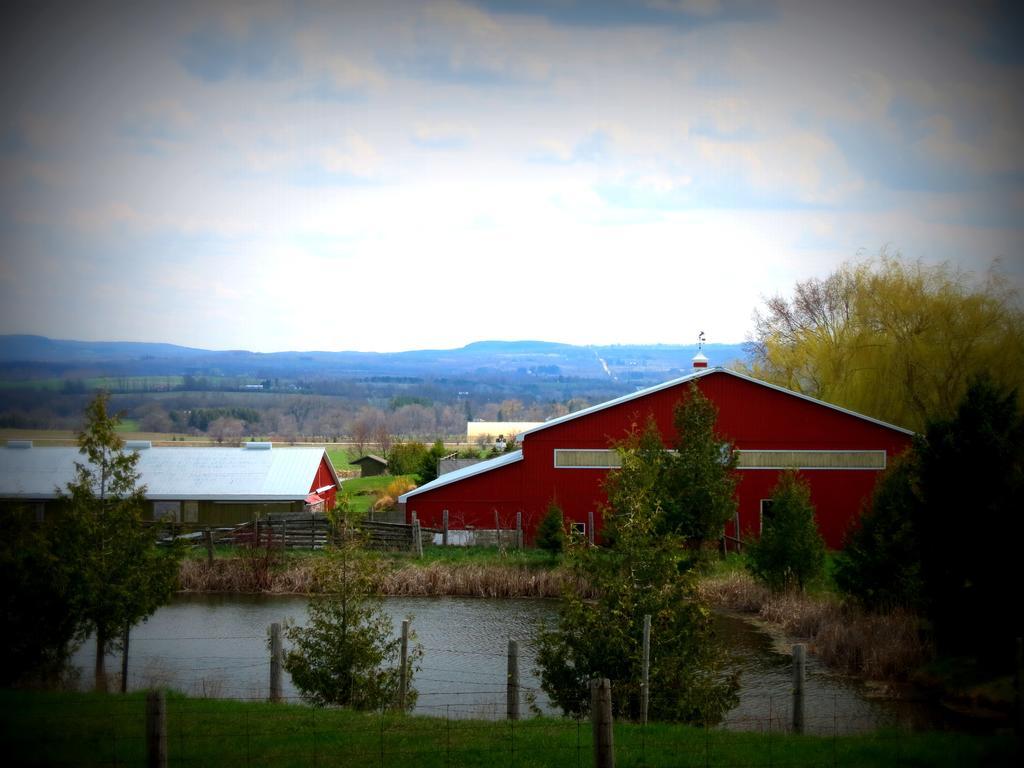 Heathcote Haven Bed & BreakfastClarksburg エクステリア 写真